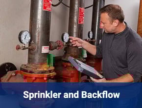 Service Sprinkler and Backflow